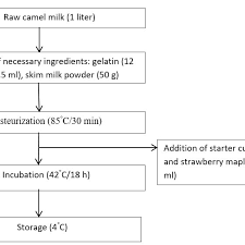 Camel milk is produced from the female camels and has a salty or sharp taste. Production Steps Of Camel Milk Yoghurt Download Scientific Diagram