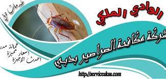 شركة مكافحة الصراصير فى دبى 0555851180 dubai tape