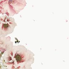 Pink Flowers Frame Transparent Png Free Image By Rawpixel Com Nam In 2020 Flower Frame White Anemone Flower Flower Sketches