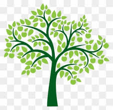 Download Free Png Family Tree Clip Art Download Pinclipart