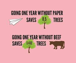 Going 1 Year Without Paper Saves 8 5 Trees Going 1 Year Without Beef Saves 3 432 Trees And Don T Forget How Much Water Go Vegan Quotes Vegan Facts Why Vegan