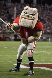 Georgia Bulldogs Mascot Hairy Dawg Georgia Bulldog Mascot Bulldog Mascot Georgia Bulldogs