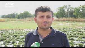 Asadar, poti incepe in 2021 o afacere in agricultura ce are ca obiectiv de business principal cultivarea sofranului. Èi A Deschis O Afacere In Moldova Cu Bani Din Italia Youtube