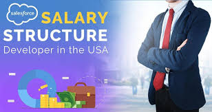 Salary Structure Of A Salesforce Developer In The Usa Salesforce Developer Salesforce Development