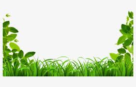 We ran into a few problems with our leaves because of the messy fall we are having. Page Borders For Microsoft Word Cliparts Water Border Clipart Free Transparent Clipart Clipartkey