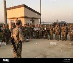 1 1 ada battalion hi-res stock photography and images