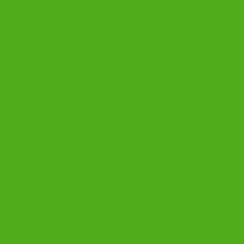 2031 10 Neon Lime Paint Color
