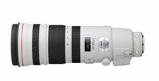 Canon 100 400 Ii With 1 4 Extender Pin On Photography Gear
