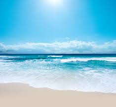 Most members are given room, board and a weekly allowance of about $75. Background Sea Beach Gallery Yopriceville Highquality Images And Transparent Png Free Clipart Huge Free Wallpaper Download