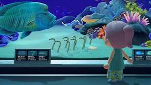 Sea creatures in animal crossing: List Of Sea Creatures Sea Creatures Prices Shadow Sizes And Times Acnh Animal Crossing New Horizons Switch Game8