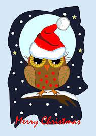 Cute Santa Hat Owl Merry Christmas Text Card Greeting Card By Walstraasart Merry Christmas Text Cute Santa Hat Christmas Quilt Patterns
