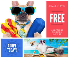 You will find some of the best and most loving pets at your local animal shelters and you are literally saving these animals! Iacs Is Offering Free Adoptions Through June 22