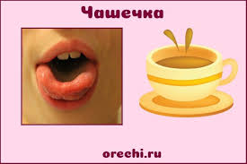 артикуляционная гимнастика в стихах для детей 3 4 лет Uprazhnenie Chashka Artikulyaciionnye Uprazhneniya Logopedicheskie Igry Gimnastika