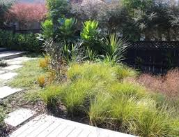 Karen Wealleans The Garden Design Society Of New Zealand Garden Design Garden Garden Landscaping