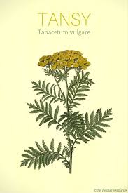 Pin On Benefits Of Natural Oils