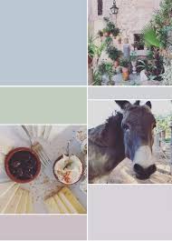 mallorca mit kindern geheimtipp von mir fur euch mallorca urlaubmitkind hotel finca mallorca urlaub mit kindern unterkunft