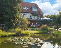 A complimentary buffet breakfast is served daily from 7:00 am to 10:00 am. Steinhude Am Steinhuder Meer Hotels Hotels