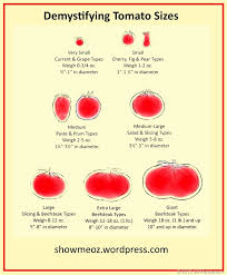 Maybe you would like to learn more about one of these? Demystifying Tomato Sizes Show Me Oz