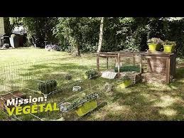Pin Op Mission Vegetal