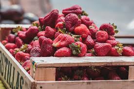 Wenn du normalerweise viel süßt, empfehlen fruchtzucker aus obst und gemüse kommt nie allein, sondern mit vielen wichtigen nährstoffen, die. 8 Kostliche Fruchte Und Beeren Mit Ganz Wenig Zucker Maxima