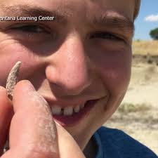 Leviathan fossil discovery by Helena area father and son creates  unforgettable learning opportunity