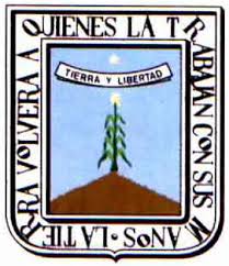 Periodico Oficial No. 4039