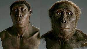 Mit dem speer stiegen wir dann endgültig an die spitze der nahrungskette auf. Geschichte Die Evolution Des Menschen Geolino