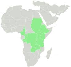 Image result for Oldeania alpina