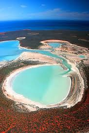 This Is An Image Of The Peninsulas And Lands Of Shark Bay Places To Go Beautiful Places Australia Travel