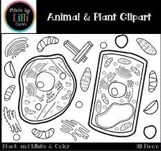 Black brutes are depicted as hideous, terrifying predators who target helpless victims, especially white. Animal Cell And Plant Cell Clipart Science Clipart Stem Clipart