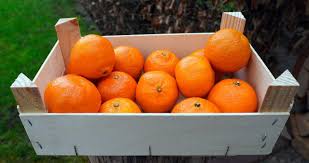 Do Oranges Need To Be Refrigerated Prepared Cooks