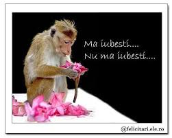 Hai sa incercam sa nu ne mai certam. Ma Iubeste Dragoste Felicitari Ele Ro