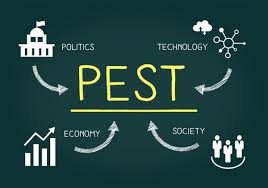 Depending on the organisation, it can be reduced to pest or some areas can be added (e.g. What Is Pest Analysis How To Perform Pest Analysis