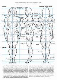 The photos may be used as a reference for creating traditional art which may then be sold.for example, a drawing, painting, or sculpture is permissible under these guidelines, whereas a work which uses the actual photos—such as a collage—would be prohibited. Female Muscle Drawing