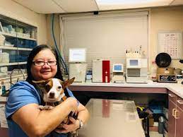 Edmonds veterinary hospital was founded in null, and is headquartered in edmonds, washington. Pet Care Center At Luna Park King County Washington