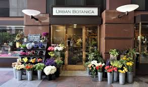 Floral Design Shop Downtown San Francisco Ca Financial District Flower Shop Shop Design Design Shop Front Design