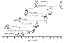 Figure 1 From The Development Of Motor Behavior Semantic