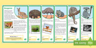 Select from premium australian animal of the highest quality. Australian Animals Fact File Display Posters