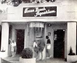 Enjoyed outdoor area as well. Ocean Beach Aquarium Umina Ocean Beach Beach Cabin Beach Shack