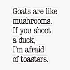 Run by frick and frack // we make memes. Goats Are Like Mushrooms If You Shoot A Duck I M Afraid Of Toasters