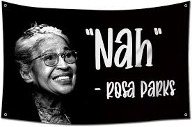 Lixure NAH Rosa Parks Flag 3x5 Ft Funny Man Cave Wall Meme Flags with 4  Grommets 90x150cm for College Dorm Room Decor: Buy Online at Best Price in  UAE
