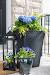 Indoor Flower Pot Ideas