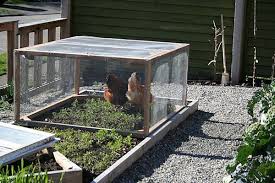 Have To Make This Chickens Backyard Homestead Chickens Farm Gardens