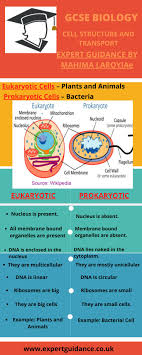 Check spelling or type a new query. Aqa Gcse Biology Paper 1 B1 Cell Structure And Transport Complete Revision With Notes Q A Vide Biology Prokaryotic Cell Cell Structure