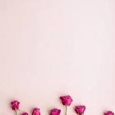 We did not find results for: Ø®Ù„ÙÙŠØ§Øª Ø§ÙŠÙÙˆÙ† ÙˆØ§ØªØ³ Ø¬Ø¯ÙŠØ¯Ø© ÙˆÙ…ØªÙ…ÙŠØ²Ø© Iphone Wallpapers Pinterest Iphone Wallpaper Floral Floral Rings