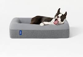 Casper Dog Mattress Dog Beds For Small Dogs Dog Mattresses Cool Dog Beds