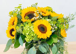 Homewood suites by hilton miami downtown brickell. 66sfomquk4q2jm