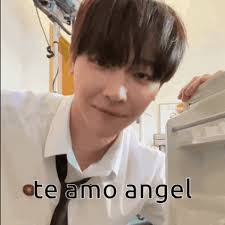 Nicholas Andteam Nicholas Angel GIF