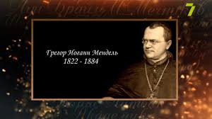 Аббатство томаса в брно , маркграфство моравии. Serdce Otdannoe Lyudyam Gregor Iogann Mendel Youtube