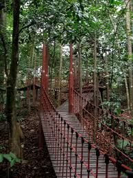 It's pretty close to the golden triangle where you'll find some of kuala lumpur's top attractions like the petronas tower, kl tower and klcc. Bukit Nanas Forest Reserve Trail Nrsyahd